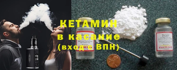 индика Медвежьегорск
