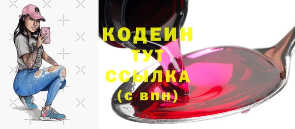 Альфа ПВП Ельня