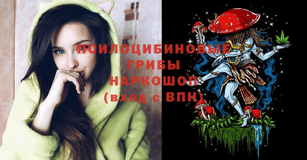 Альфа ПВП Ельня