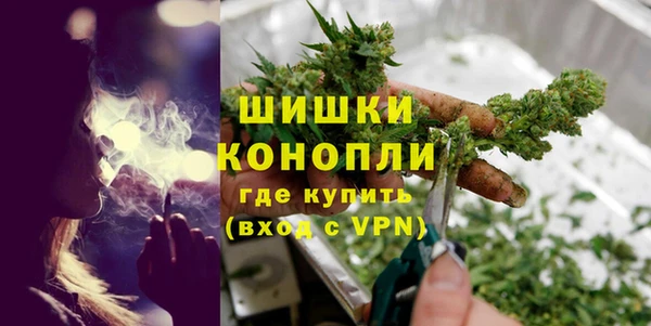 Альфа ПВП Ельня