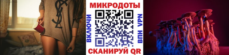 где купить   Севск  ОМГ ОМГ как зайти  Псилоцибиновые грибы Psilocybe 